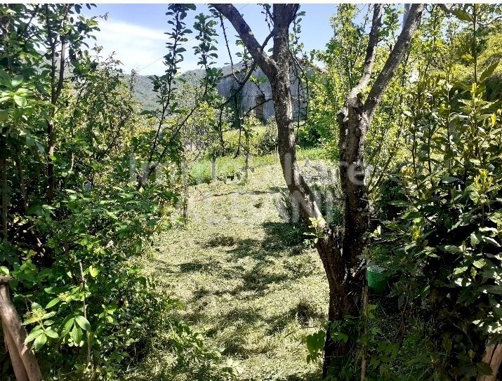 SP543_VENDITA_APPARTAMENTO_BORSEDA (17).jpg - Appartamento La Spezia - foto 1