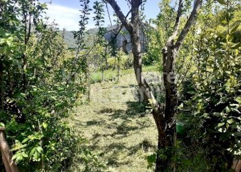 SP543_VENDITA_APPARTAMENTO_BORSEDA (17).jpg - Appartamento La Spezia - foto 1