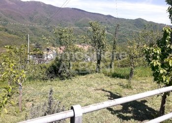 SP543_VENDITA_APPARTAMENTO_BORSEDA (3).jpg - Appartamento La Spezia - foto 4