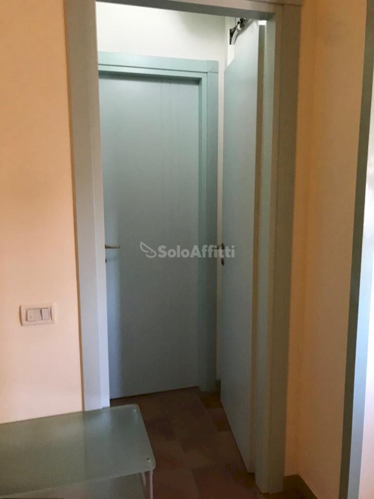 DISIMPEGNO INGRESSO - Appartamento Pisa - foto 3