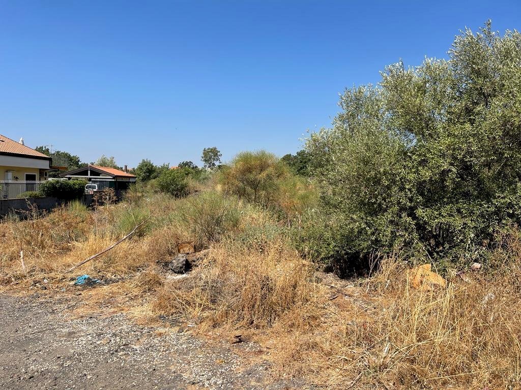 WhatsApp Image 2022-08-05 at 16.21.10 (5).jpeg - Agricultural land Tremestieri Etneo - photo 3