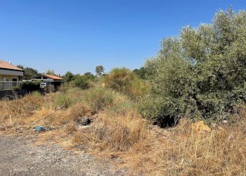 WhatsApp Image 2022-08-05 at 16.21.10 (5).jpeg - Terreno agricolo Tremestieri Etneo - foto 3