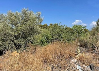 WhatsApp Image 2022-08-05 at 16.21.10 (6).jpeg - Terreno agricolo Tremestieri Etneo - foto 4