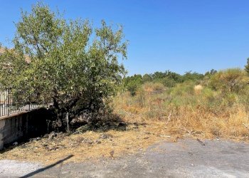 WhatsApp Image 2022-08-05 at 16.21.10 (8).jpeg - Terreno agricolo Tremestieri Etneo - foto 6