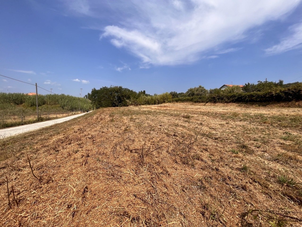 IMG_6877.JPG - Terreno edificabile Santo Stefano di Magra - foto 2