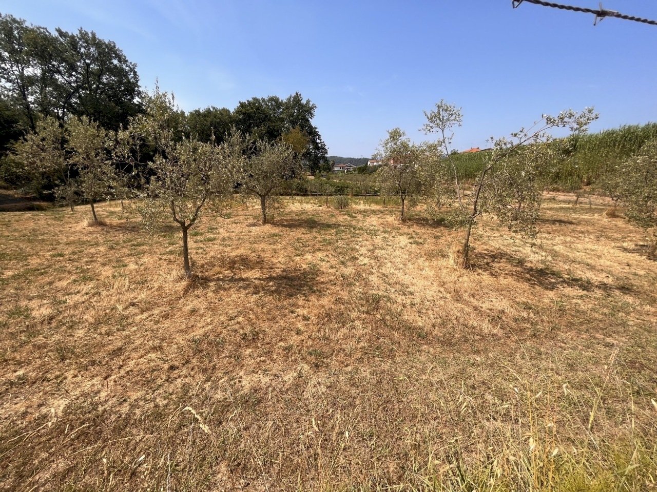 IMG_6878.JPG - Terreno edificabile Santo Stefano di Magra - foto 3