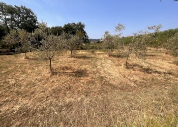 IMG_6876.JPG - Terreno edificabile Santo Stefano di Magra - foto 1