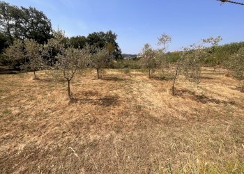 IMG_6878.JPG - Terreno edificabile Santo Stefano di Magra - foto 3