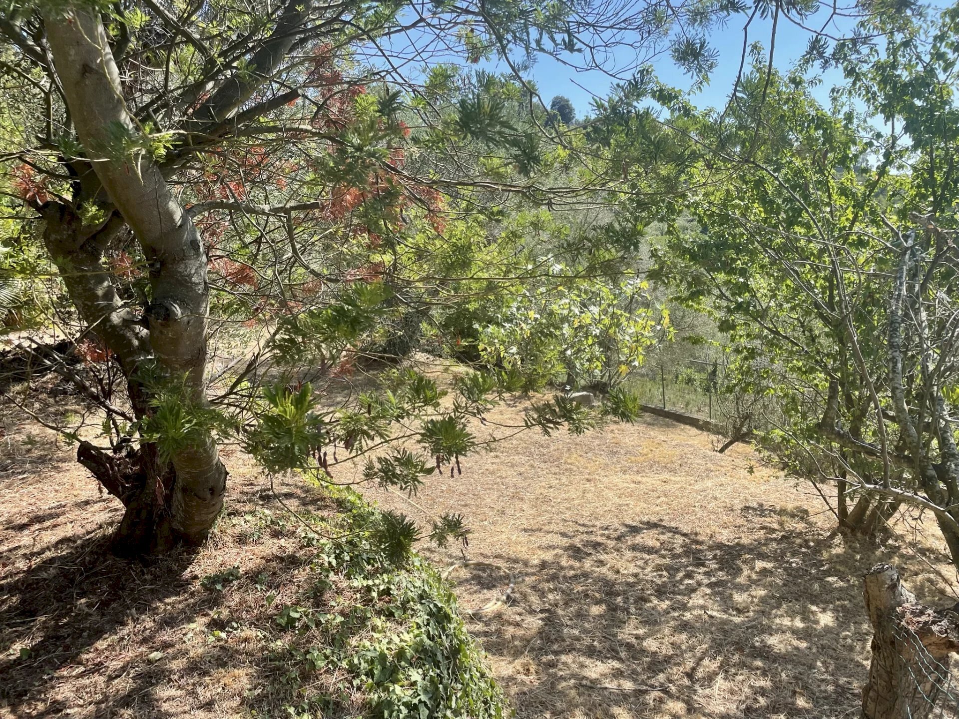 Casa indipendente Seborga - foto 2