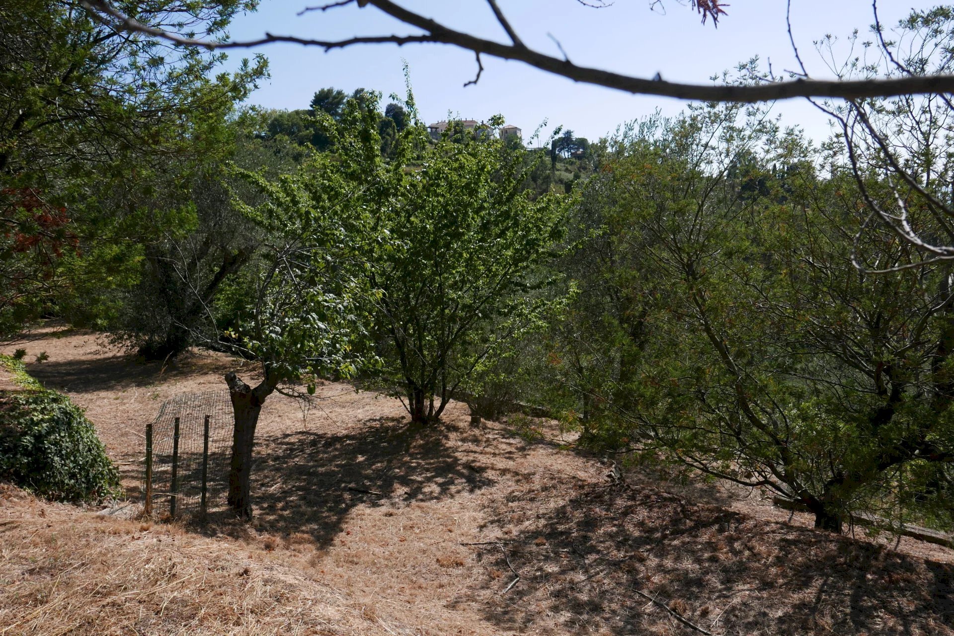 Casa indipendente Seborga - foto 3