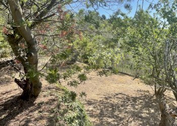 Casa indipendente Seborga - foto 2