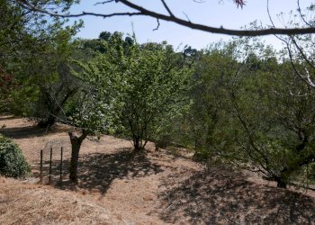 Casa indipendente Seborga - foto 3