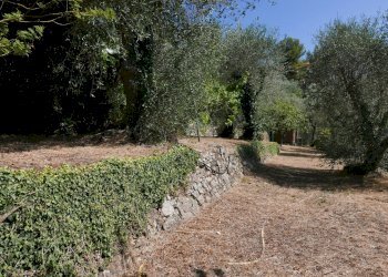 Casa indipendente Seborga - foto 4