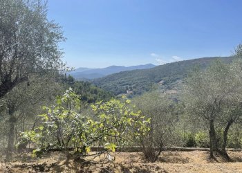 Casa indipendente Seborga - foto 36