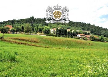 Terreno - Terreno edificabile via Vecchia di Montefallonio, Peveragno - foto 7