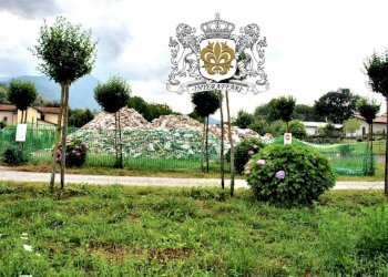 Terreno - Terreno edificabile via Vecchia di Montefallonio, Peveragno - foto 12