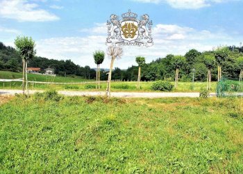 Terreno - Terreno edificabile via Vecchia di Montefallonio, Peveragno - foto 14