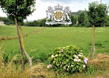 Terreno - Terreno edificabile via Vecchia di Montefallonio, Peveragno - foto 15