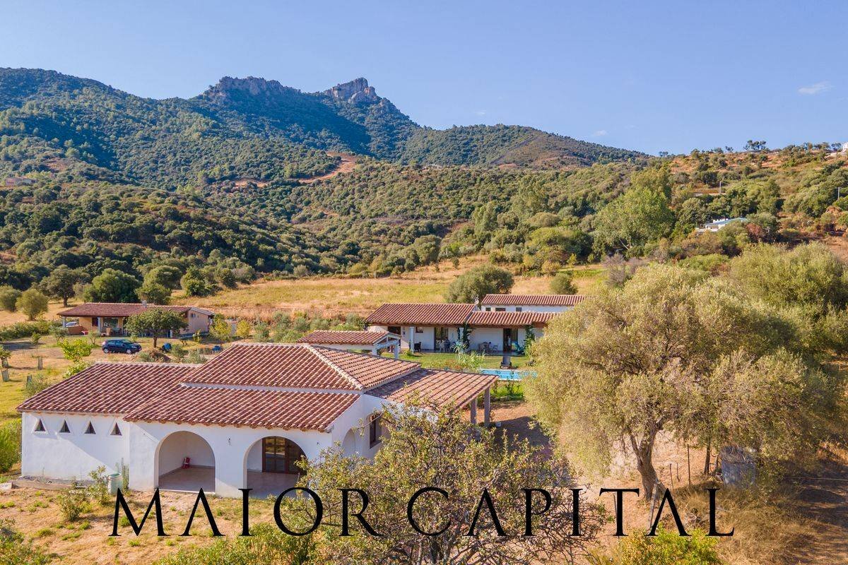 Commercial Activity Loc. Gheddosà, Torpè - photo 3