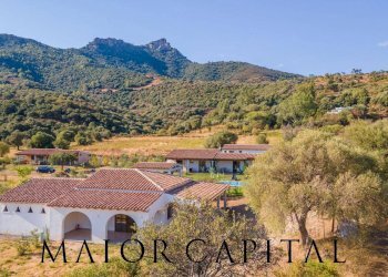 Commercial Activity Loc. Gheddosà, Torpè - photo 3