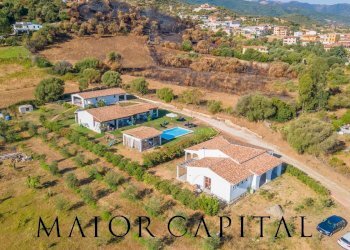 Commercial Activity Loc. Gheddosà, Torpè - photo 4