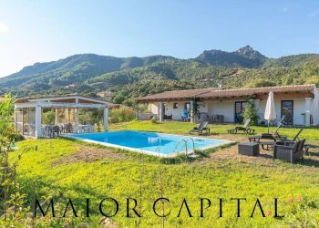 Commercial Activity Loc. Gheddosà, Torpè - photo 9