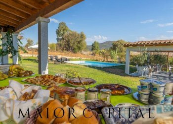 Commercial Activity Loc. Gheddosà, Torpè - photo 12