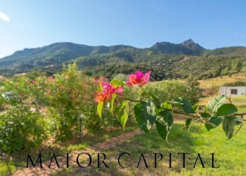 Commercial Activity Loc. Gheddosà, Torpè - photo 17