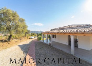 Commercial Activity Loc. Gheddosà, Torpè - photo 18