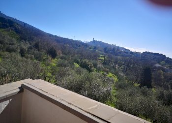 ca21.jpg - Villa Castelnuovo Magra - foto 22