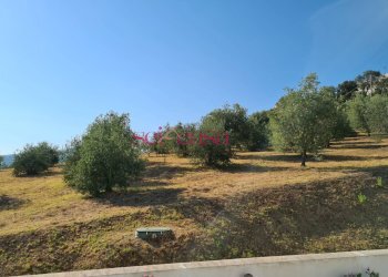 Rustico Roccastrada - foto 24