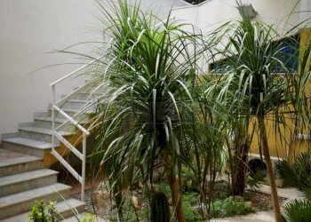 PHOTO-2022-09-15-12-10-42(1).jpg - One-room apartment Via Pietro Nenni 67, Palermo - photo 17