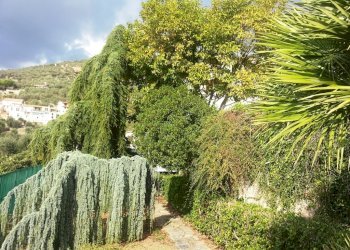 Villa Unifamiliare Castellaro - foto 7