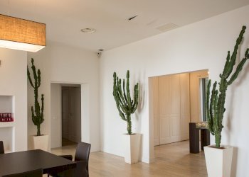 Single Family Villa Cipressa - photo 11