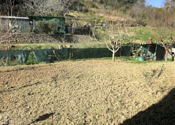 Villa Unifamiliare Sanremo - foto 6