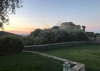 Villa Unifamiliare Vallebona - foto 10