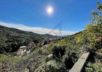 Villa Unifamiliare Vallebona - foto 4