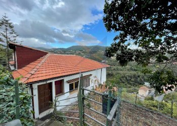 Villa Unifamiliare Vallebona - foto 6