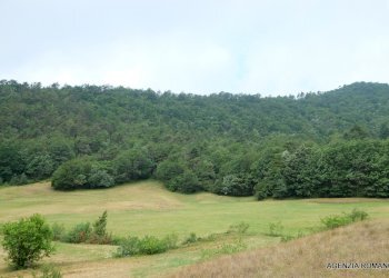 27-rIF 147  (17).JPG - Casa indipendente Pontinvrea - foto 29