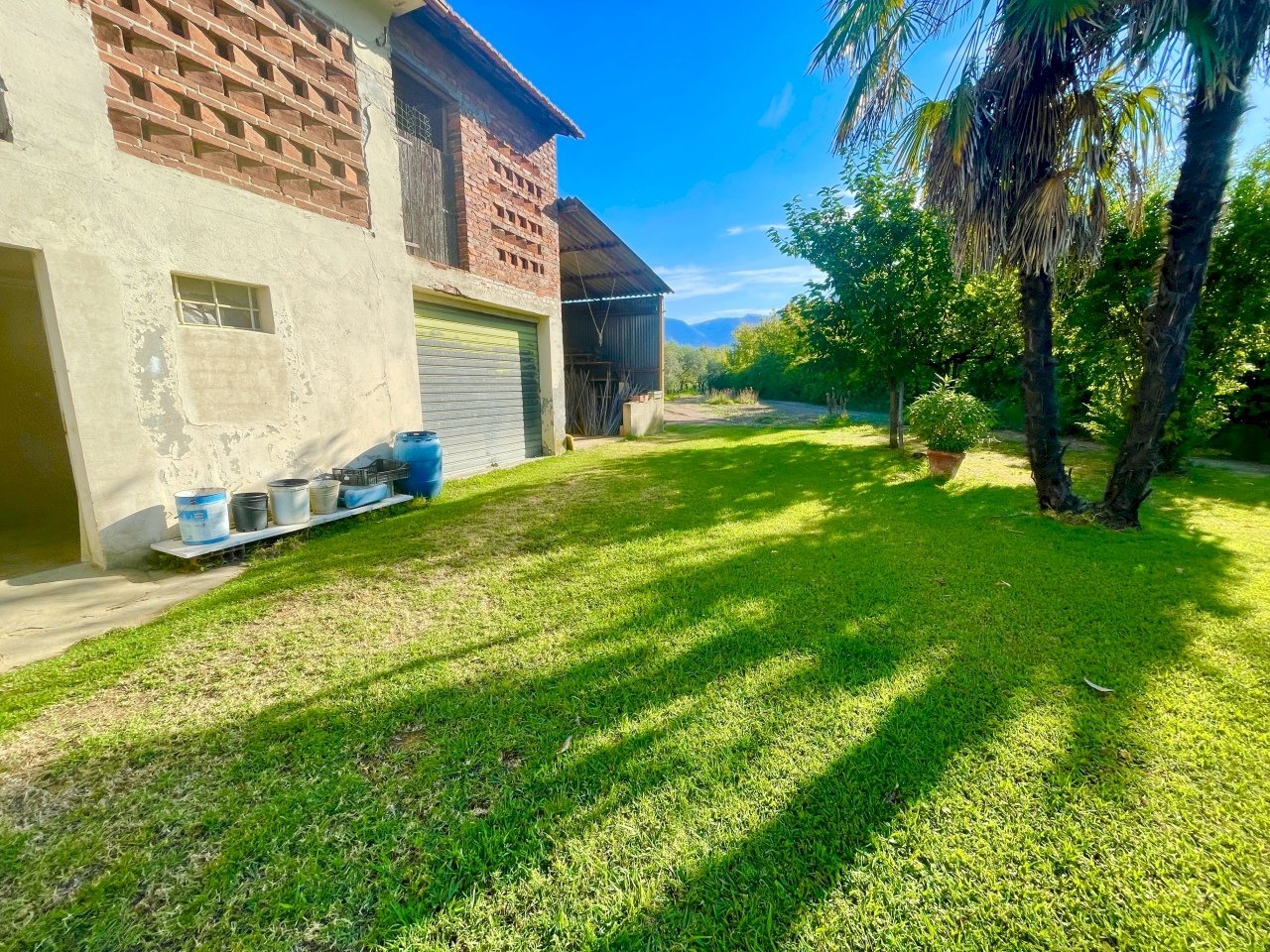 IMG_6874.jpg - Rustico Camaiore - foto 1