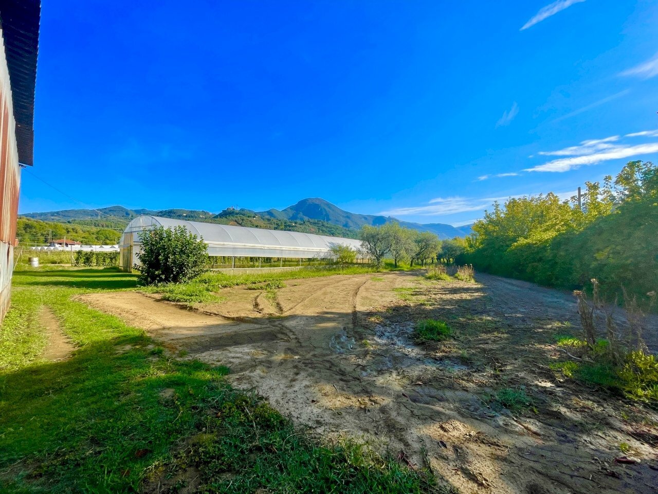 IMG_6875.jpg - Rustico Camaiore - foto 2