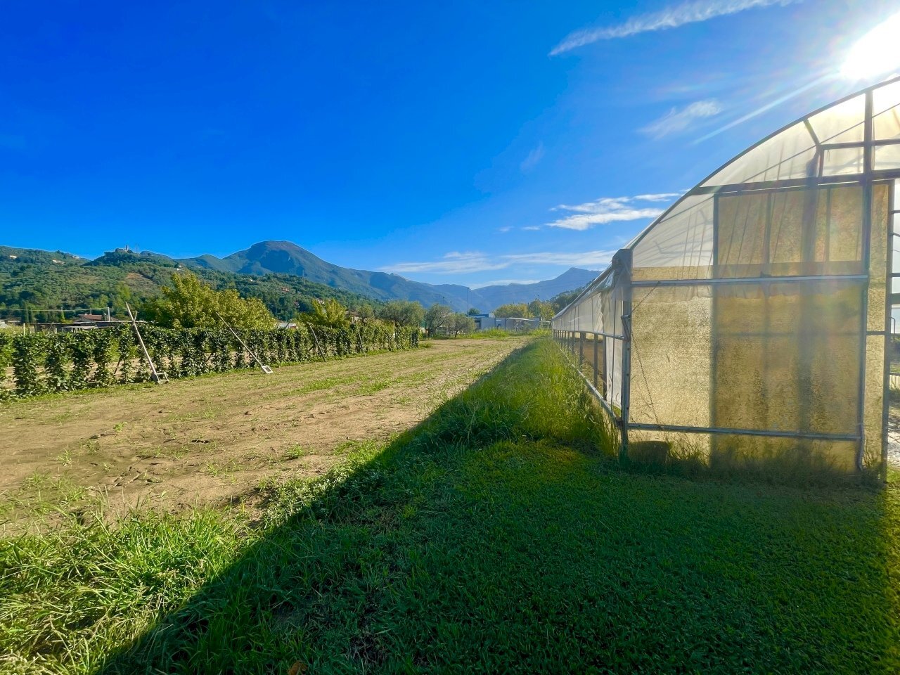 IMG_6876.jpg - Rustico Camaiore - foto 3