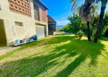 IMG_6874.jpg - Rustico Camaiore - foto 1