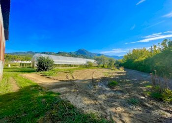 IMG_6875.jpg - Rustico Camaiore - foto 2