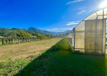 IMG_6876.jpg - Rustico Camaiore - foto 3