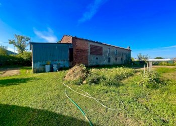 IMG_6878.jpg - Rustico Camaiore - foto 5