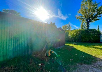 IMG_6882.jpg - Rustico Camaiore - foto 9