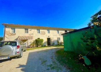 IMG_6883.jpg - Rustico Camaiore - foto 10