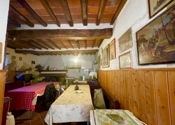 IMG_6890.jpg - Rustico Camaiore - foto 17