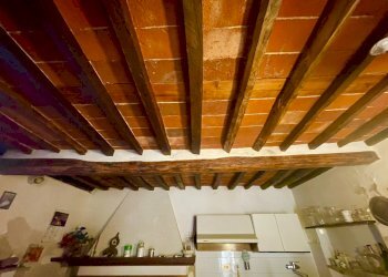 IMG_6891.jpg - Rustico Camaiore - foto 18